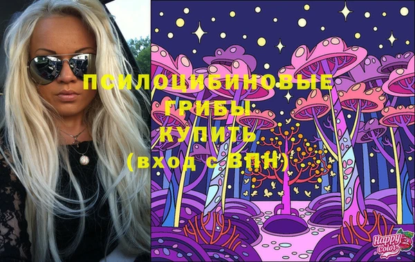 молекула духа Белоозёрский