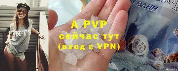 гашик Белокуриха