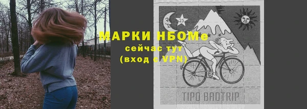гашик Белокуриха