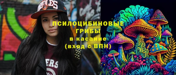гашик Белокуриха