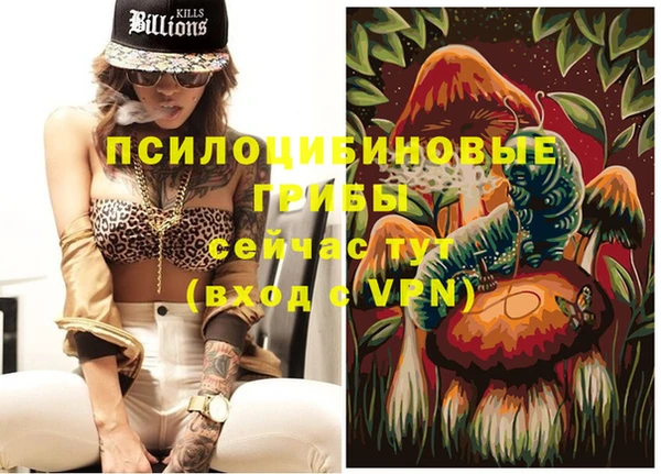 гашик Белокуриха