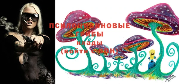 гашик Белокуриха