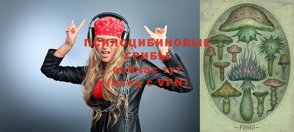 молекула духа Белоозёрский