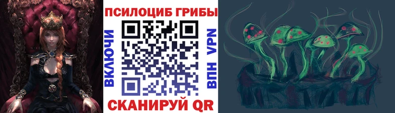 Псилоцибиновые грибы прущие грибы  нарко площадка какой сайт  Вельск 